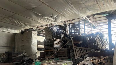 овочесховище, стара гнилиця