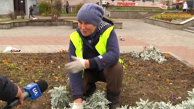КП "Зеленбуд" у Житомирі готує квітники та рослини до зимівлі