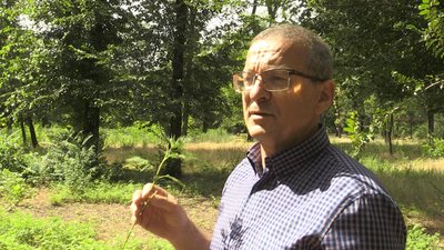 У Запоріжжі відбулася акція "Кохання без амброзії" У Запоріжжі відбулася акція "Кохання без амброзії"