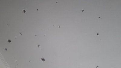 Вибух гранати в одеському гуртожитку: троє травмованих Вибух гранати в одеському гуртожитку: троє травмованих