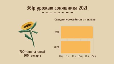 Жнива 2021: на Черкащині розпочали збір пізніх культур Жнива 2021: на Черкащині розпочали збір пізніх культур