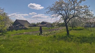 7 км через болота – і Білорусь: як живе Погулянка у прикордонні Волині 7 км через болота – і Білорусь: як живе Погулянка у прикордонні Волині