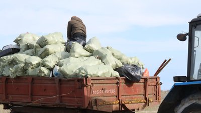 Понад тисячу мішків сміття. На острові Джарилгач на Херсонщині провели екологічну акцію