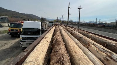 Понад 1000 кубометрів деревини відправили із Закарпаття в Миколаївську і Дніпропетровську області