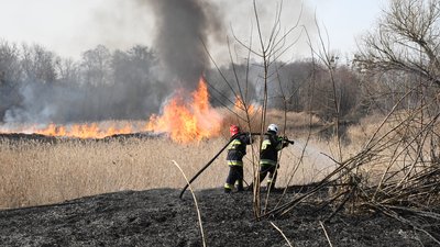 Пожежа в екосистемі на Харківщині, 12 березня 2024 року Пожежа в екосистемі на Харківщині, 12 березня 2024 року