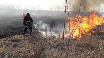 На Дніпропетровщині за добу сталося 25 пожеж в екосистемах