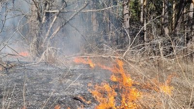 У Дніпрі за паління сухої трави затримали десятьох людей