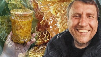 борис шестопалов