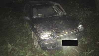 На Рівненщині перекинулось авто з трьома чоловіками, один – загинув