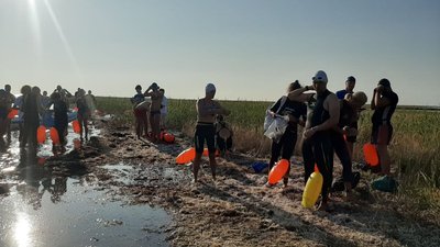 Джарилгач - Скадовськ: відстань у 6 км долали 41 пловець Джарилгач - Скадовськ: відстань у 6 км долали 41 пловець