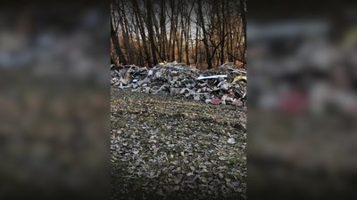 Будівельне сміття біля дерев поблизу озера "Земснаряд" у Чернігові