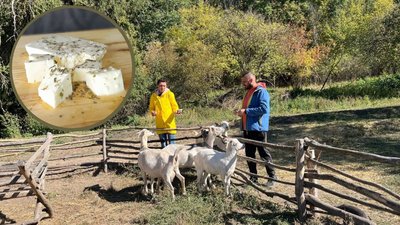 Родина, яка переїхала з Києва, створила козину ферму на Черкащині