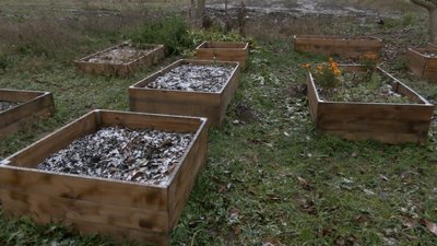 "Сади зростання": у Луцьку готують до зими міський город "Сади зростання": у Луцьку готують до зими міський город