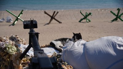 Тридцять шостий день війни. Хроніка подій в Одеській області