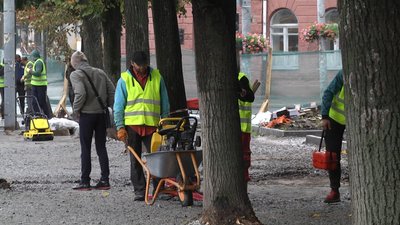 У Житомирі на Театральній дерева, яким підрубали коріння під час будівельних робіт, можуть загинути У Житомирі на Театральній дерева, яким підрубали коріння під час будівельних робіт, можуть загинути