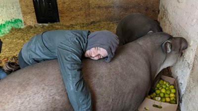 Волонтери з Охтирки допомагають рятувати тварин з харківського "Фельдман Екопарку" Волонтери з Охтирки допомагають рятувати тварин з харківського "Фельдман Екопарку"