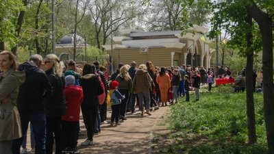 Адаптувалися та вийшли на публіку: евакуйовані з Харкова до Одеси леви тепер бувають у відкритому вольєрі ФОТО Адаптувалися та вийшли на публіку: евакуйовані з Харкова до Одеси леви тепер бувають у відкритому вольєрі ФОТО