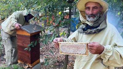 «Клімат змінюється»: пасічник розповів чому бджолам стає важче збирати мед на Рівненщині