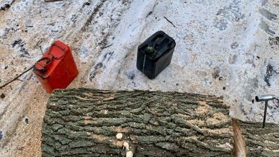 Зрізали 10 кубометрів деревини. На Дніпропетровщині викрили групу "чорних" лісорубів Зрізали 10 кубометрів деревини. На Дніпропетровщині викрили групу "чорних" лісорубів