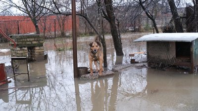 Через захаращеність рятува прочищали каналізаційні стоки у дворах Закарпаття Через захаращеність рятува прочищали каналізаційні стоки у дворах Закарпаття