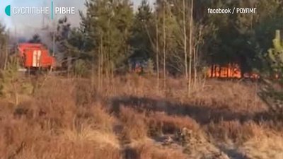 На Рівненщині було дві пожежі у лісах, в РОУЛМГ розповіли подробиці