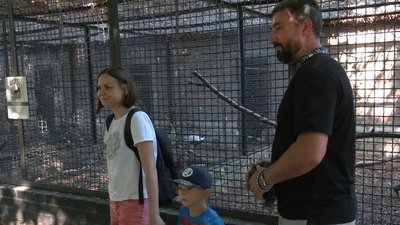 Чим ласують тварини в зоопарку Чим ласують тварини в зоопарку