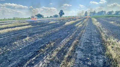 Через спалювання стерні на Волині оштрафували чоловіка Через спалювання стерні на Волині оштрафували чоловіка