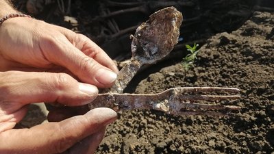 На Харківщині знайшли останки 50 солдатів Другої світової війни На Харківщині знайшли останки 50 солдатів Другої світової війни