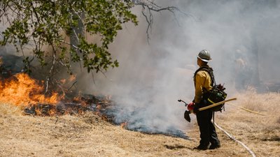 Надзвичайний рівень пожежної небезпеки оголосили на Полтавщині: які діють заборони