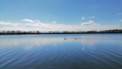 Забруднення, поліція, кримінал, екологія, забруднення водойми