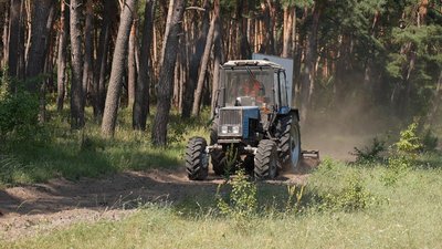 У лісах Кіровоградщини побільшало безплатних місць відпочинку. Хто і як їх створює У лісах Кіровоградщини побільшало безплатних місць відпочинку. Хто і як їх створює