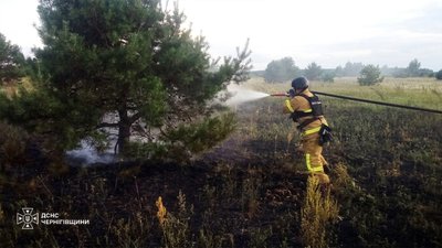 РФ атакувала безпілотниками два райони Чернігівщини: горіла АЗС та суха трава