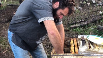 Сергій Рубаник виготовляє хмільні меди та створює екосадибу на Сумщині (СУСПІЛЬНЕ-ЛЮДИ) Сергій Рубаник виготовляє хмільні меди та створює екосадибу на Сумщині (СУСПІЛЬНЕ-ЛЮДИ)