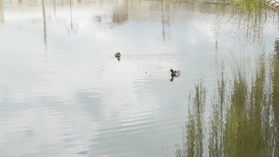 Погода