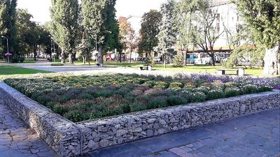 У Чернігові на місці пам’ятника Леніна висадили хризантеми У Чернігові на місці пам’ятника Леніна висадили хризантеми