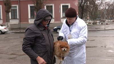 "Тварини — це віддзеркалення своїх господарів". Ветеринарний лікар з Кропивницького про особливості роботи "Тварини — це віддзеркалення своїх господарів". Ветеринарний лікар з Кропивницького про особливості роботи