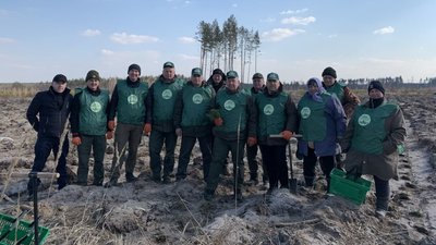 Лісівники Житомирщини планують посадити майже 36 мільйонів дерев Лісівники Житомирщини планують посадити майже 36 мільйонів дерев