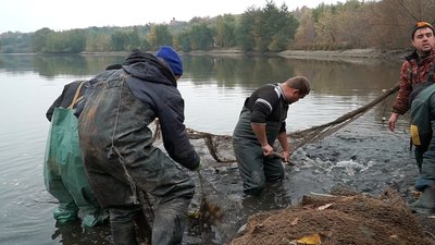 На Вінниччині стартувало осіннє зариблення водойм На Вінниччині стартувало осіннє зариблення водойм