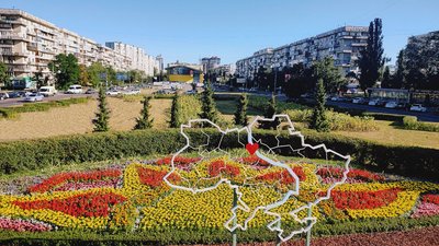 Квіти