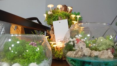флораріум, реабілітація, майстер-клас, Дніпро