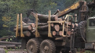 На Івано-Франківщині попит на дрова у лісництвах у 2022 році зріс удвічі На Івано-Франківщині попит на дрова у лісництвах у 2022 році зріс удвічі