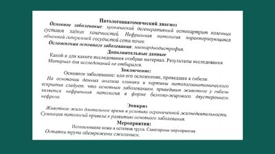 Смерть слонихи Тенді у Харкові: стало відомо, що у висновку розтину Смерть слонихи Тенді у Харкові: стало відомо, що у висновку розтину