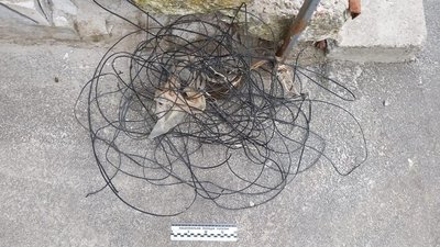 Прив'язали дротами до труби: у Харкові поліція розслідує жорстоке поводження із собакою Прив'язали дротами до труби: у Харкові поліція розслідує жорстоке поводження із собакою