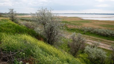 Об'їзна дорога Одеси. Новий шлях можуть прокласти через Куяльницький лиман Об'їзна дорога Одеси. Новий шлях можуть прокласти через Куяльницький лиман