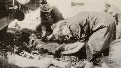 Імена під землею. Історія перепоховання жертв радянського режиму у Дем'яновому Лазі