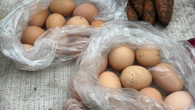 Ціни у Сумській області