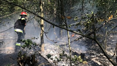Під час гасіння пожежі в Кременецькому районі Під час гасіння пожежі в Кременецькому районі