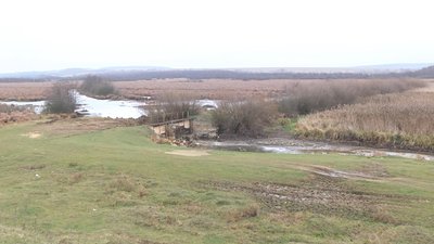 Наслідки спуску води у заказнику можуть проявлятися впродовж десятиліть. Фото: Суспільне Поділля Наслідки спуску води у заказнику можуть проявлятися впродовж десятиліть. Фото: Суспільне Поділля