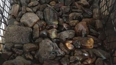 На Волині посадовець намагався вивезти з України 115 кг бурштину На Волині посадовець намагався вивезти з України 115 кг бурштину