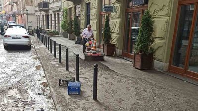 Понад сотня повалених дерев та підтоплені будівлі: наслідки негоди у Львові Понад сотня повалених дерев та підтоплені будівлі: наслідки негоди у Львові